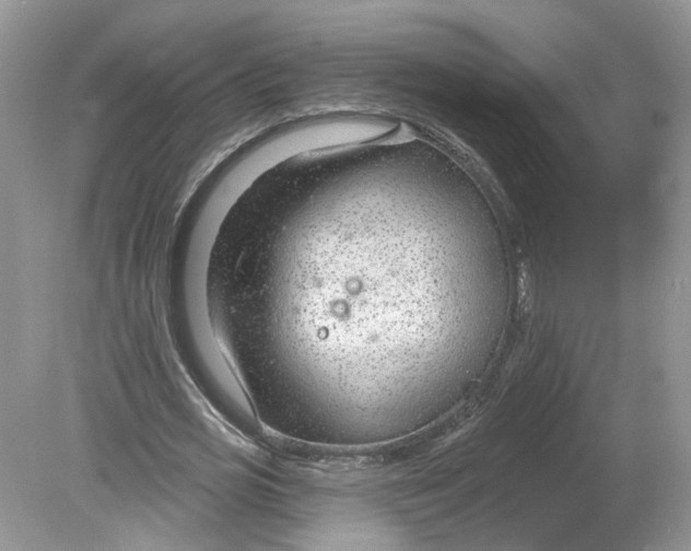 X0000078890725200612042049