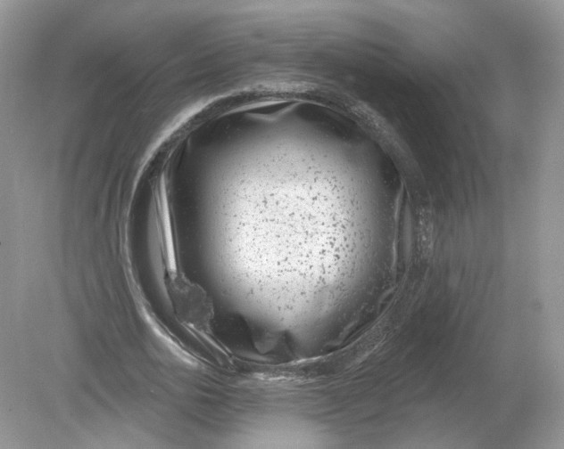 X0000078890726200612042049