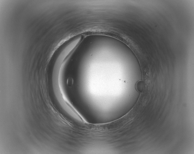 X0000078890727200612042049