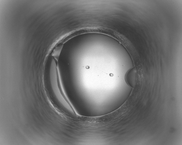 X0000078890728200612042049