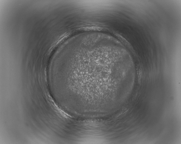 X0000078890729200612042049