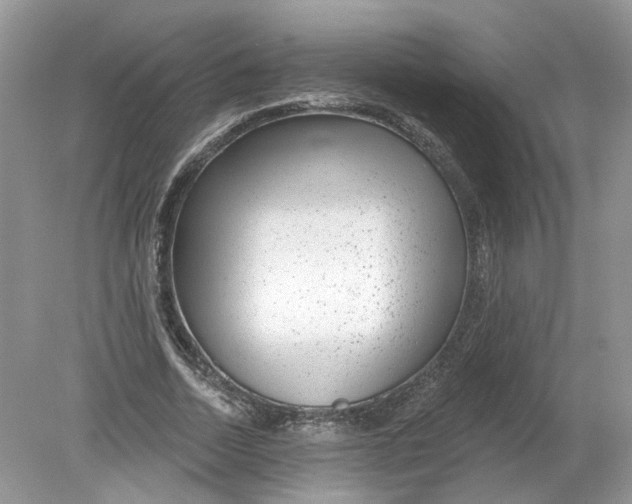 X0000078890730200612042049