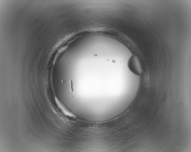 X0000078890732200612042049