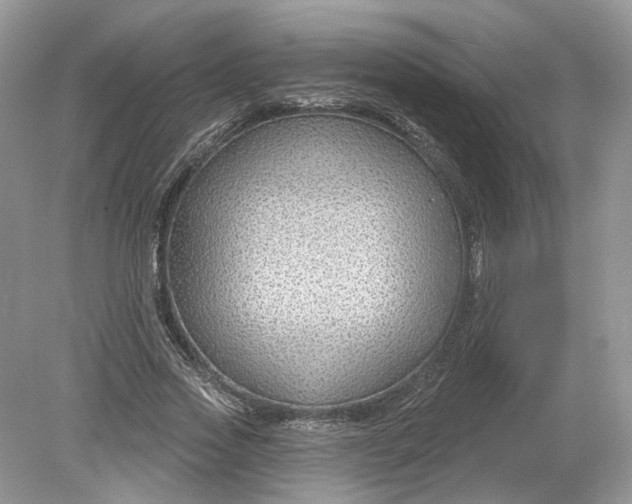 X0000078890733200612042049