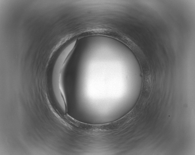 X0000078890734200612042049