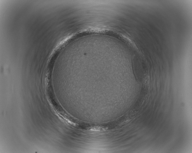 X0000078890736200612042049