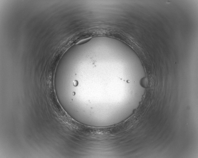 X0000078890737200612042049