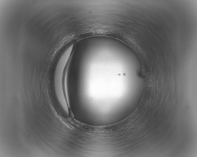 X0000078890738200612042049