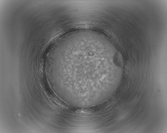 X0000078890739200612042049