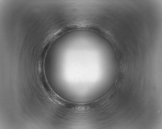 X0000078890740200612042049