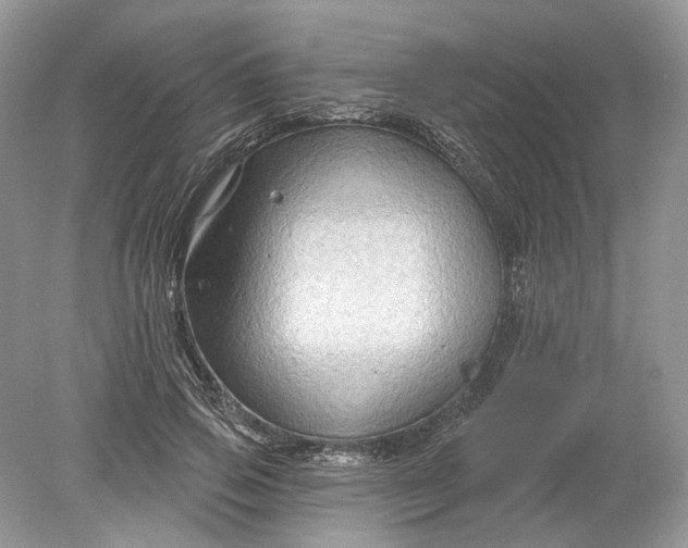 X0000078890741200612042049