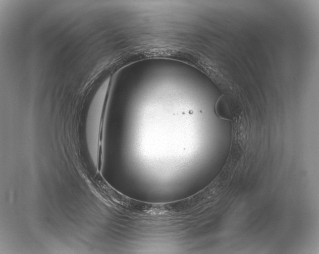 X0000078890742200612042049