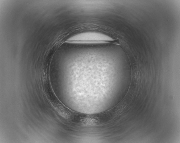 X0000078890743200612042049