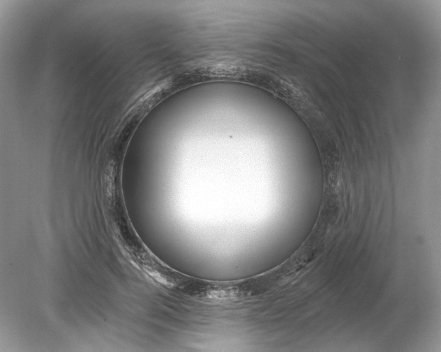 X0000078890744200612042050