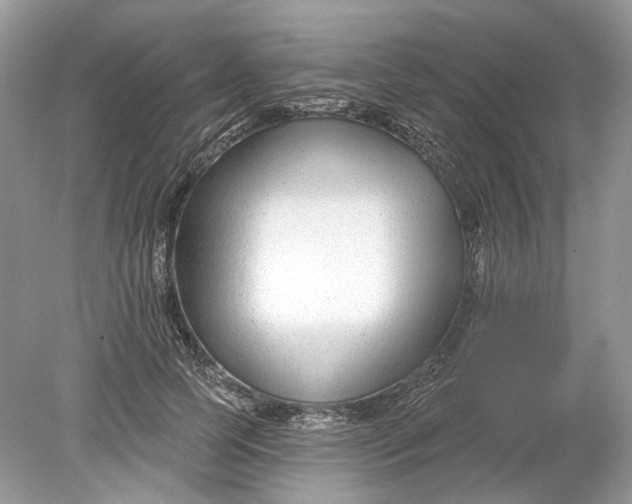 X0000078890745200612042050