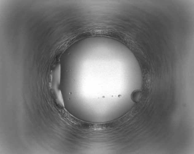 X0000078890746200612042050