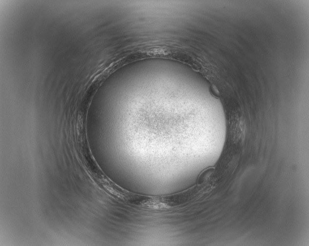 X0000078890747200612042050