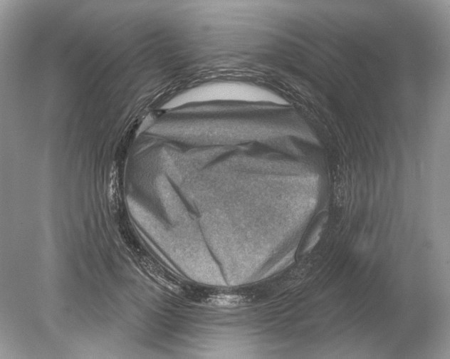 X0000078890748200612042050