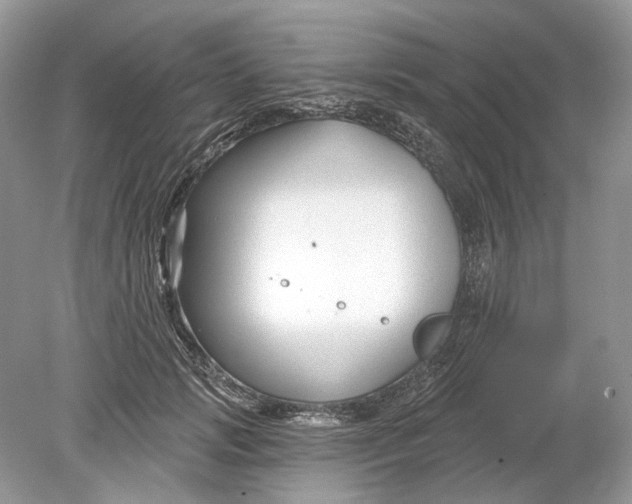 X0000078890749200612042050