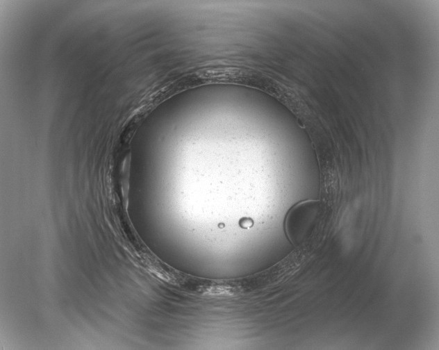 X0000078890751200612042050