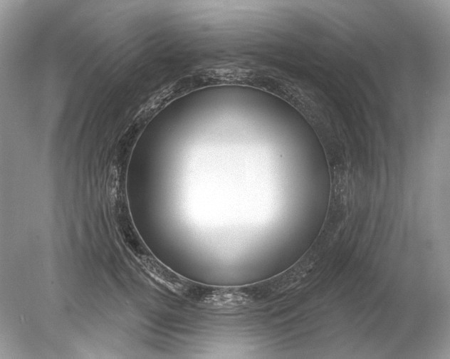 X0000078890752200612042050