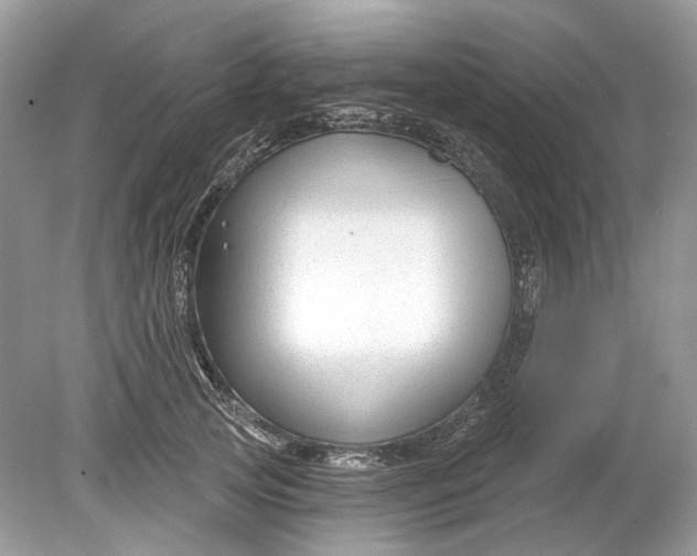 X0000078890753200612042050