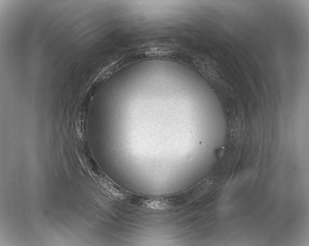 X0000078890755200612042050