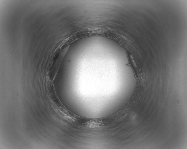 X0000078890756200612042050