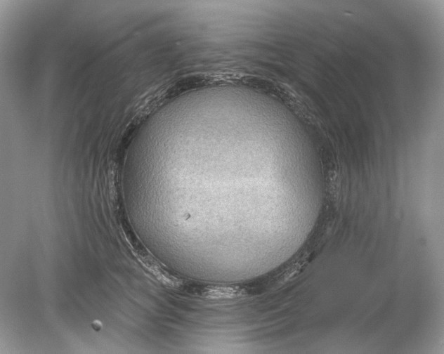 X0000078890757200612042050