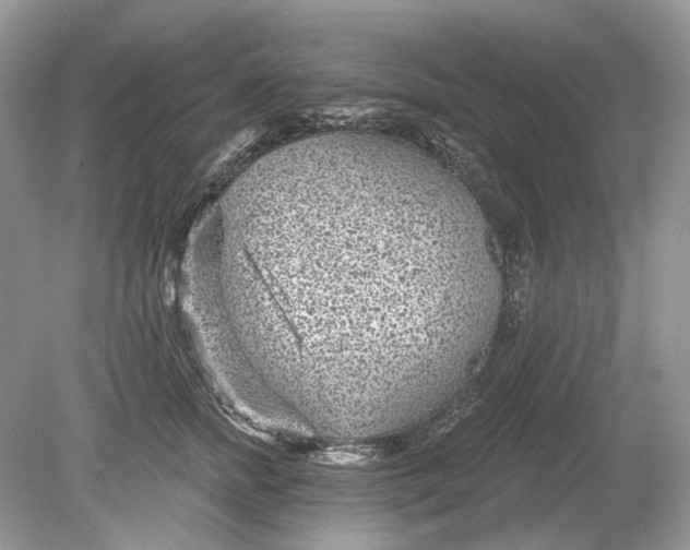 X0000078890758200612042050