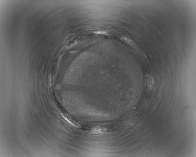 X0000078890760200612042050