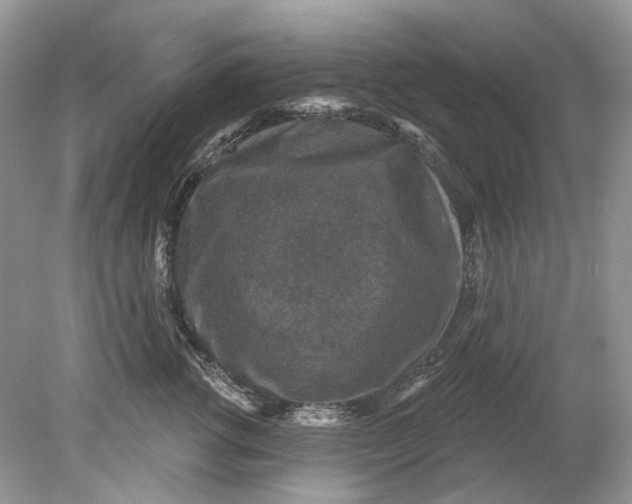 X0000078890762200612042050