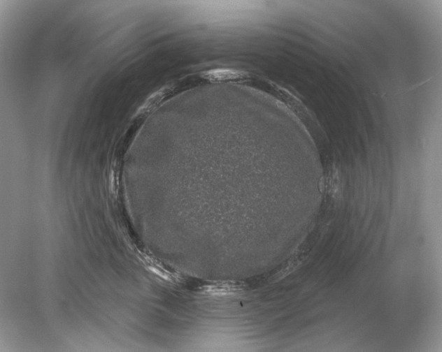 X0000078890763200612042050