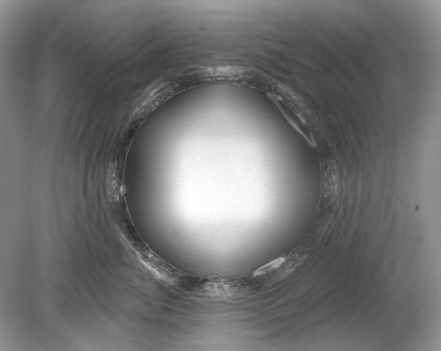 X0000078890764200612042050