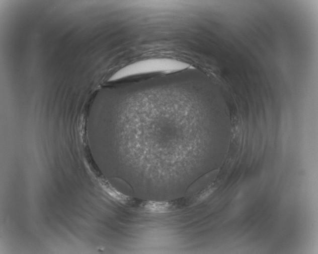 X0000078890767200612042050