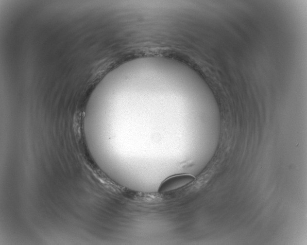 X0000078890768200612042050