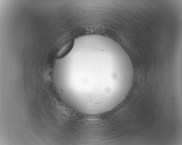 X0000078890770200612042049