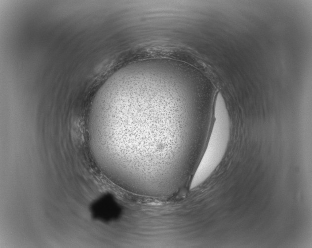 X0000078890772200612042049