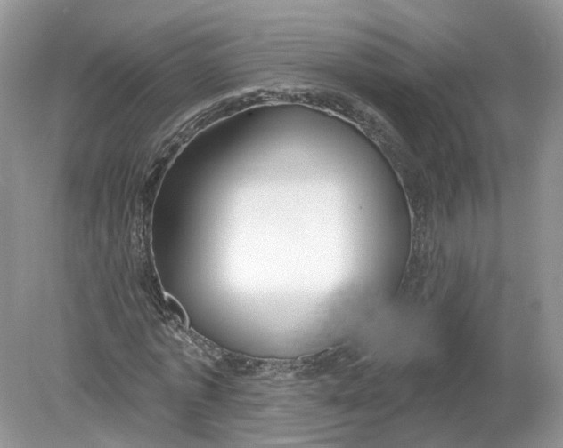 X0000078890773200612042049