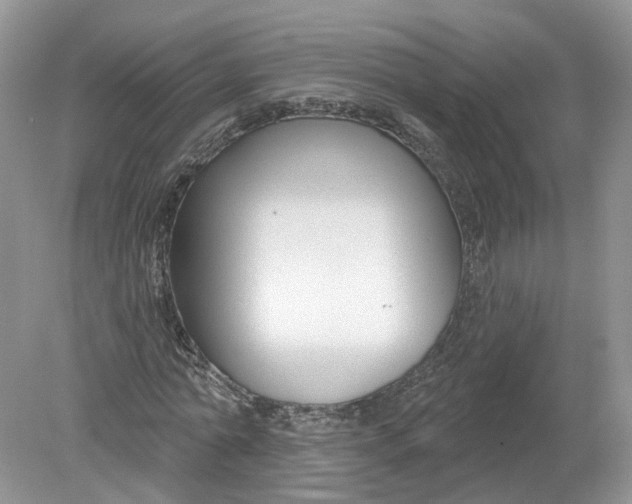 X0000078890774200612042049