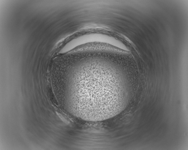 X0000078890775200612042049