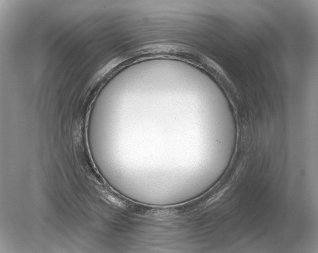 X0000078890778200612042049