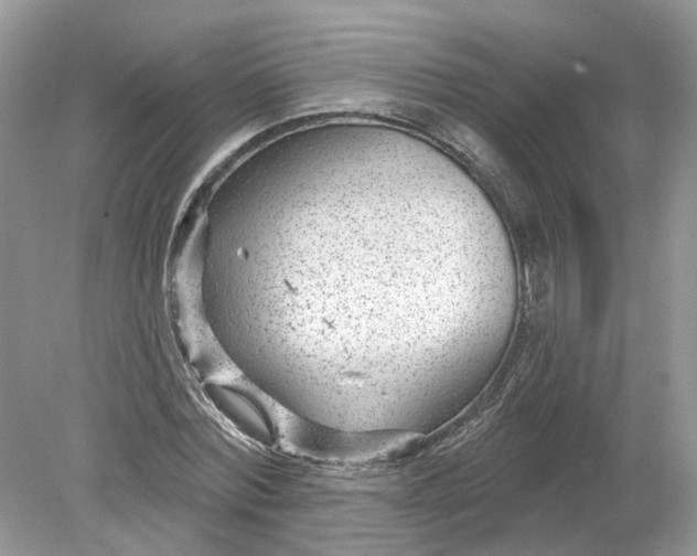 X0000078890780200612042049