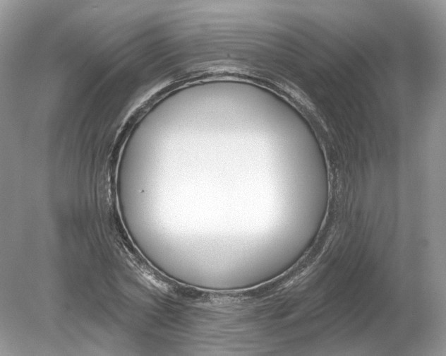 X0000078890782200612042049