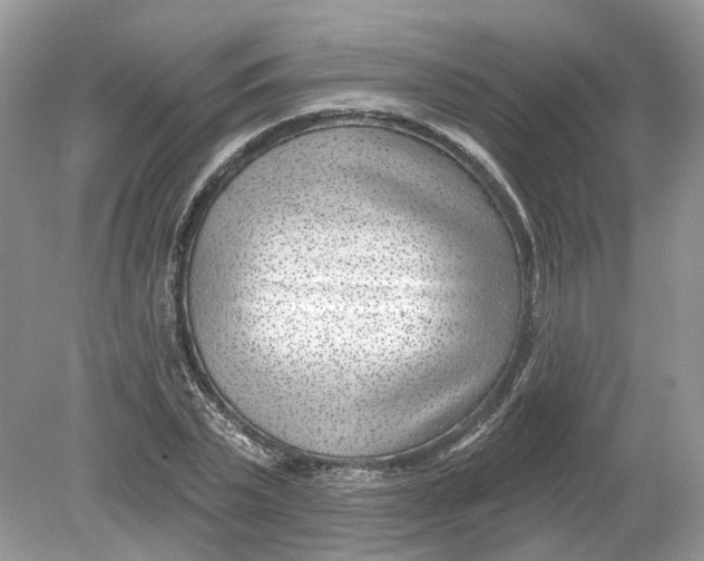 X0000078890783200612042049