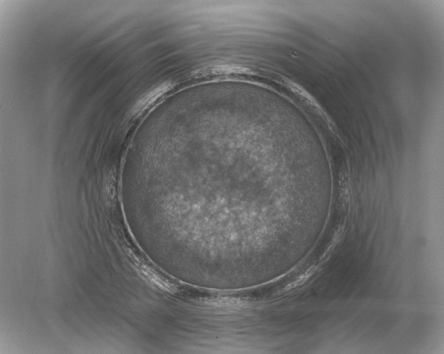 X0000078890785200612042049