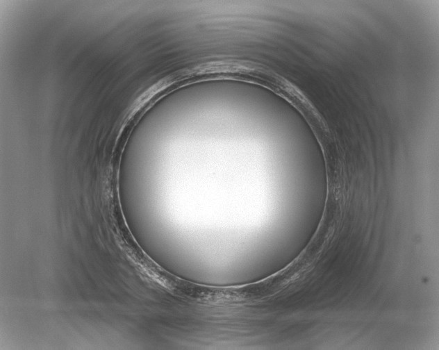 X0000078890786200612042049