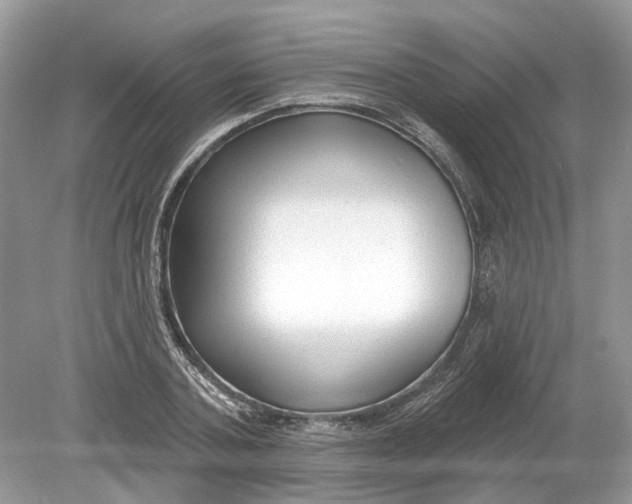 X0000078890787200612042049