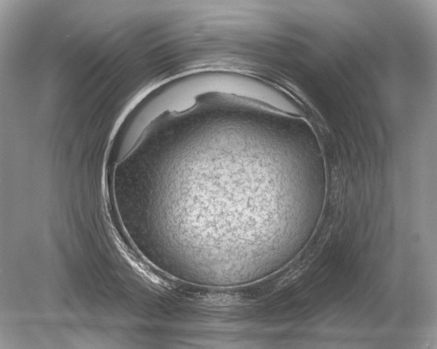 X0000078890788200612042049