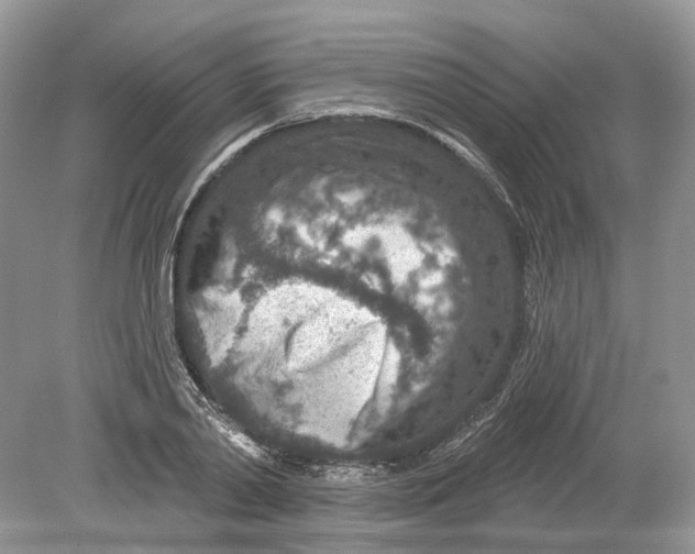 X0000078890790200612042049